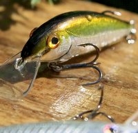 Woblery Białostockie